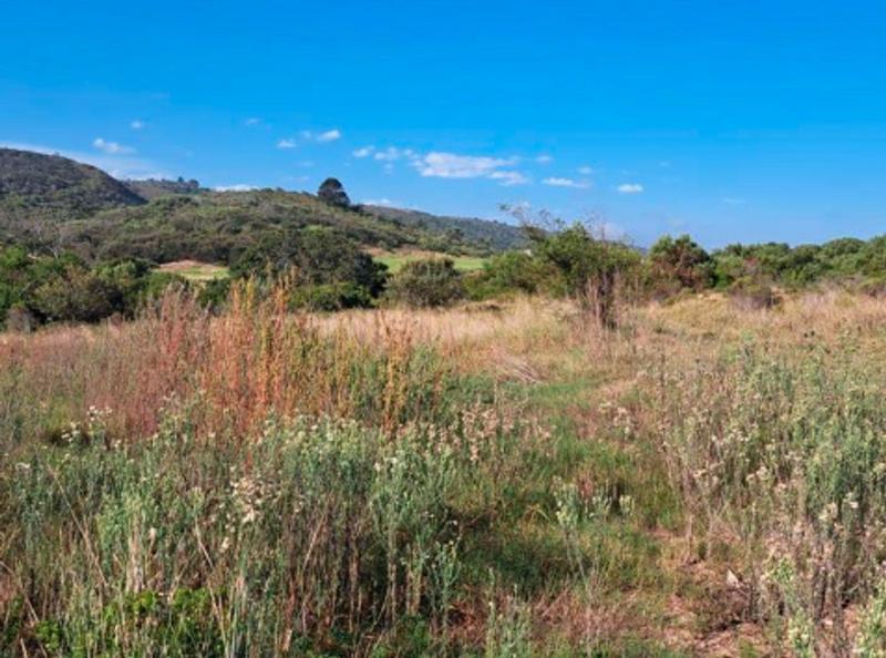 0 Bedroom Property for Sale in Pienaarstrand Western Cape